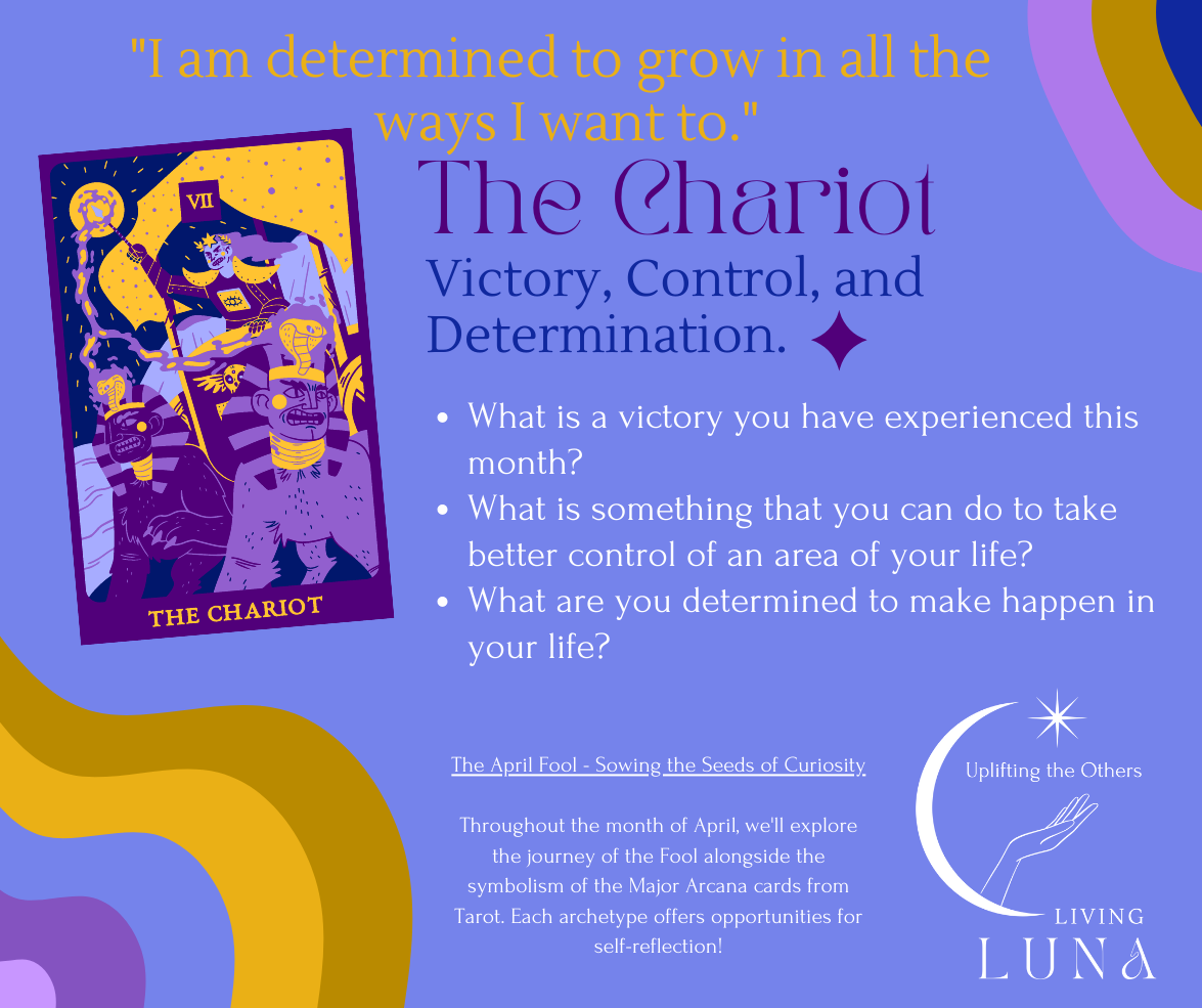 Chariot tarot card