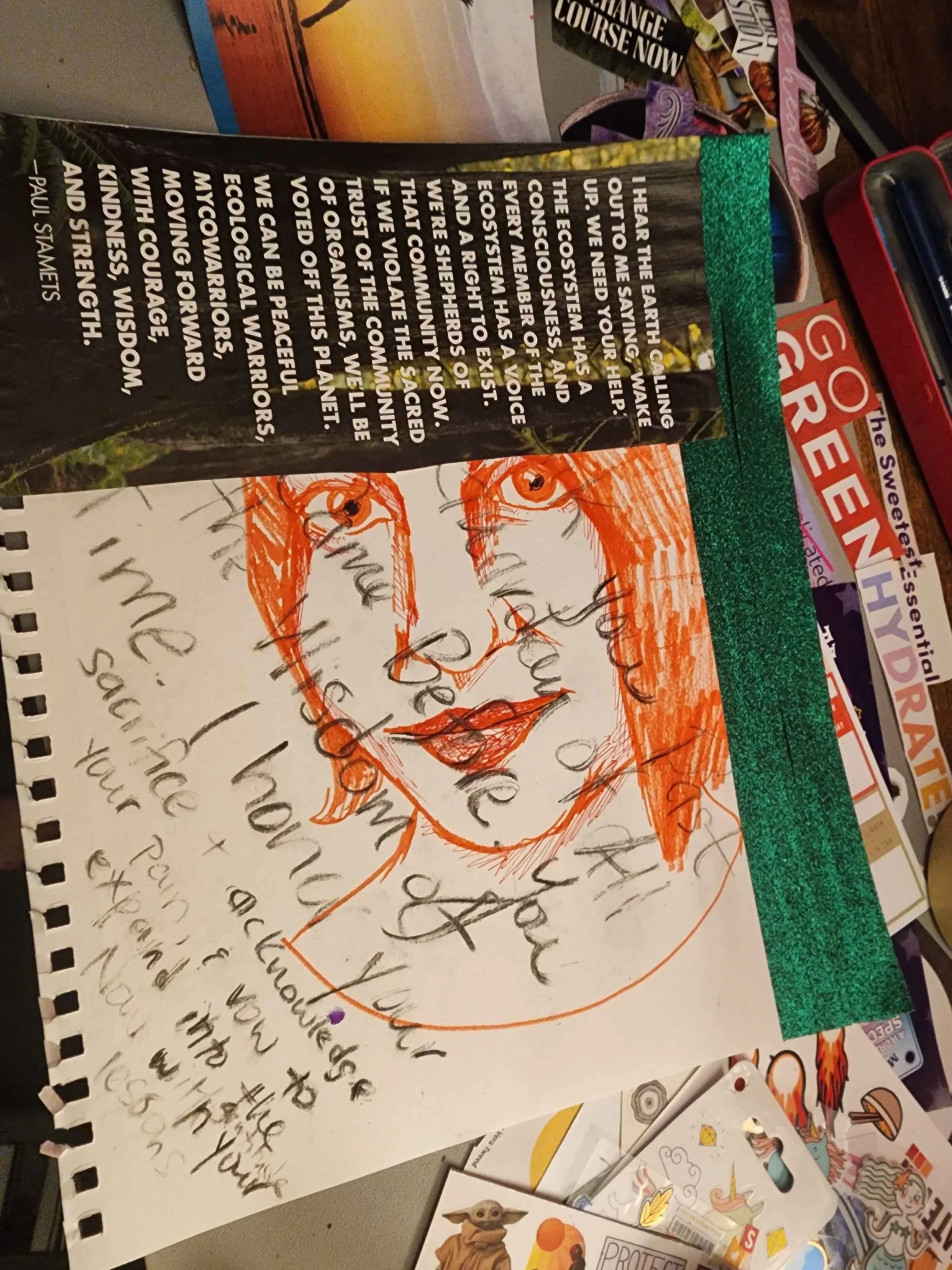 Safrianna's vision board