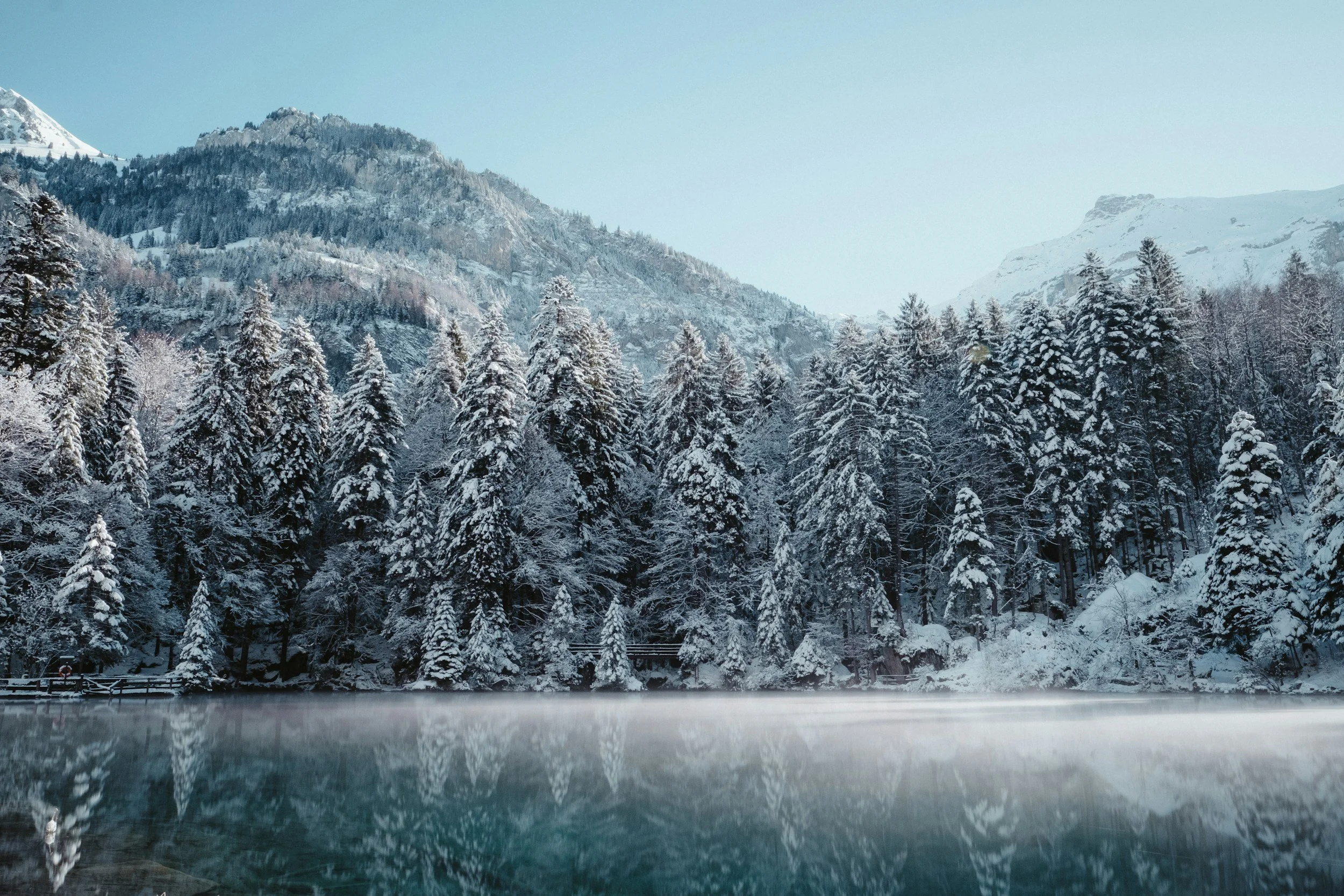 Wintery landscape of a forest covering a mountain.
