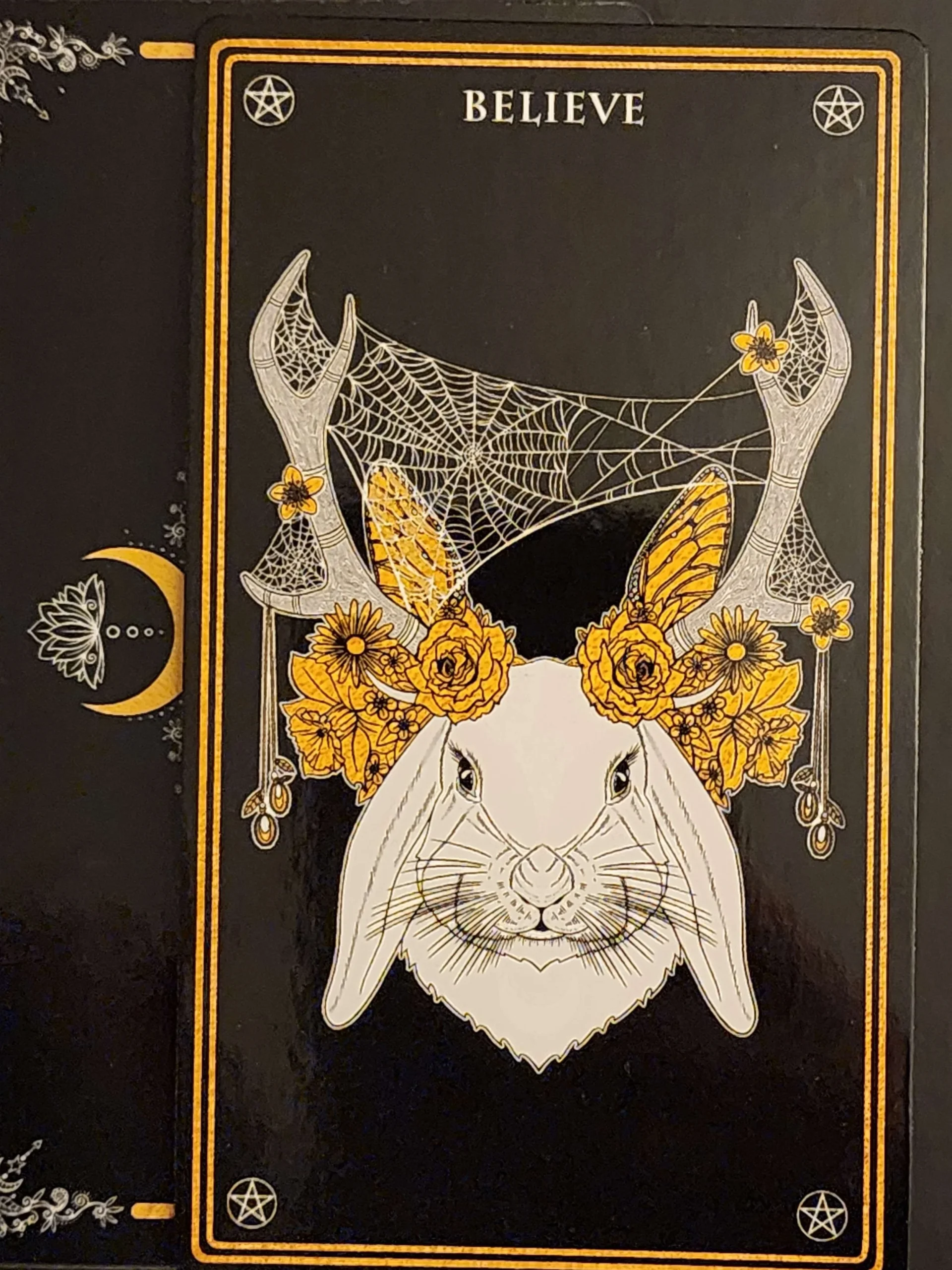Jackalope oracle card